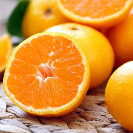 Апельсина солодкого ефірна олія