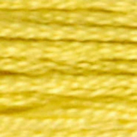 018 AIRO Yellow Plum мулине