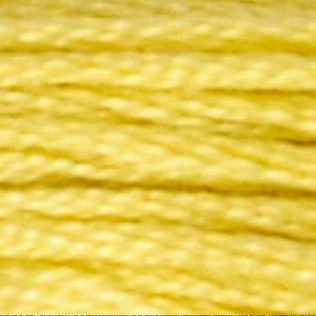 017 AIRO Light Yellow Plum муліне