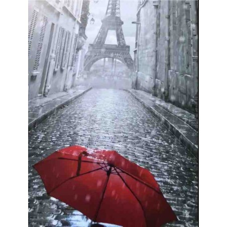 Зонтик в Париже. 11207-AC Картина по номерам