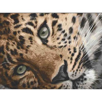 Леопард. 11635-AC Картина...